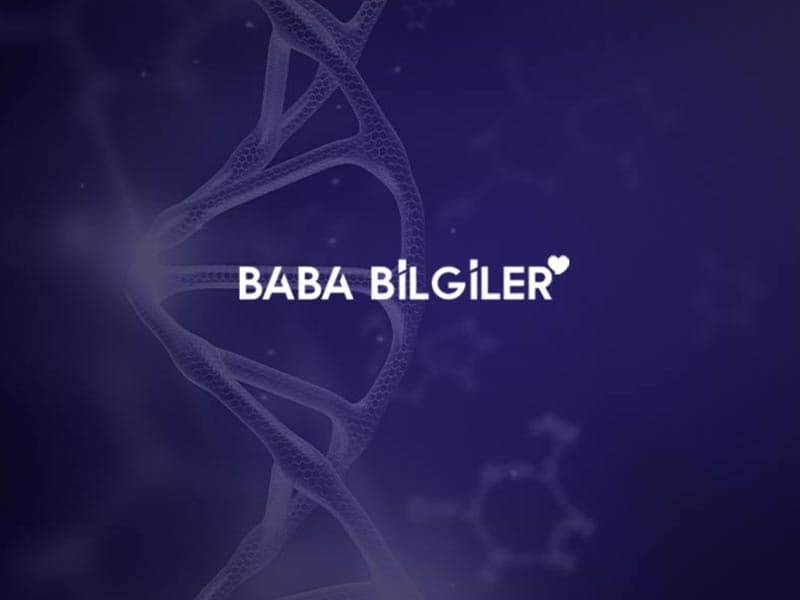Emlak Sitesi Web Tasarımı