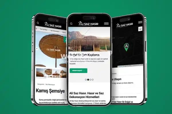 Web Tasarım Nedir?